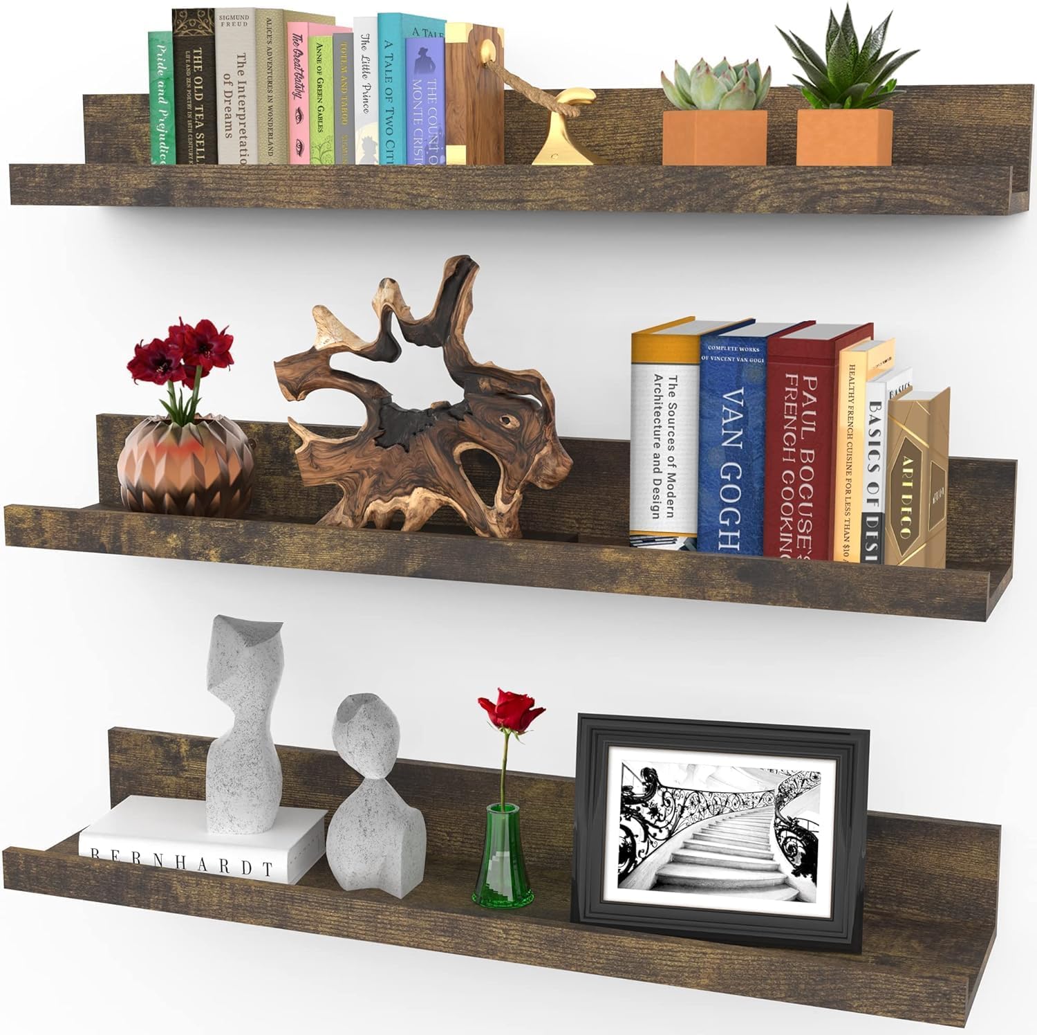 Icona Bay 24 Inch Floating Shelves for Wall - Set of 3 in Walnut Brown - Modern Rustic Style - Wall Mounted Display Shelves - Picture Ledges