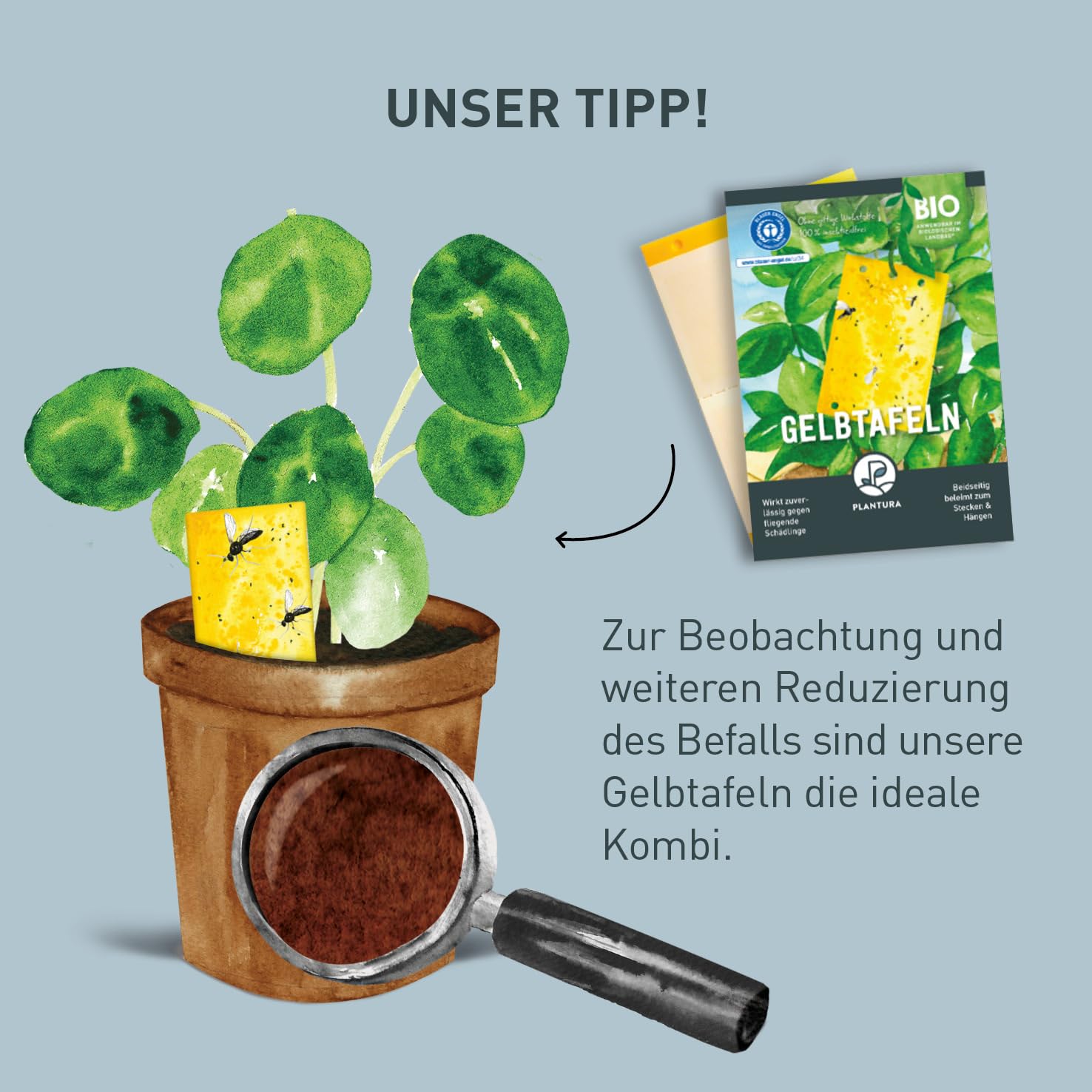 Plantura Bio-Trauermückenfrei Neem, hochwirksames Gießmittel gegen Trauermücken aus Neem, 75 ml für ca. 30 Pflanzen