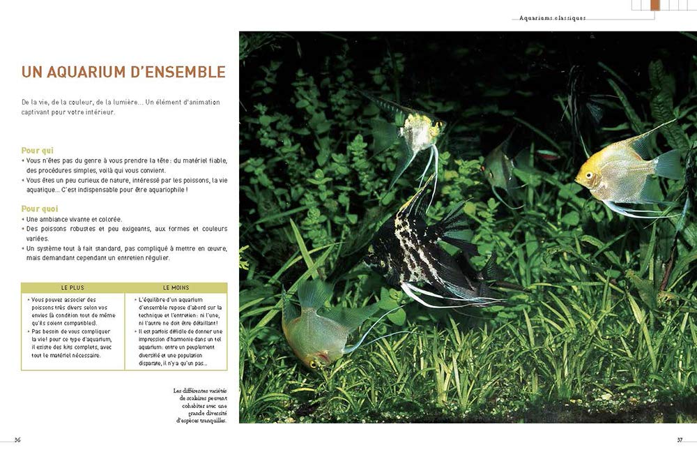 L'aquarium d'eau douce - Guide pratique du débutant