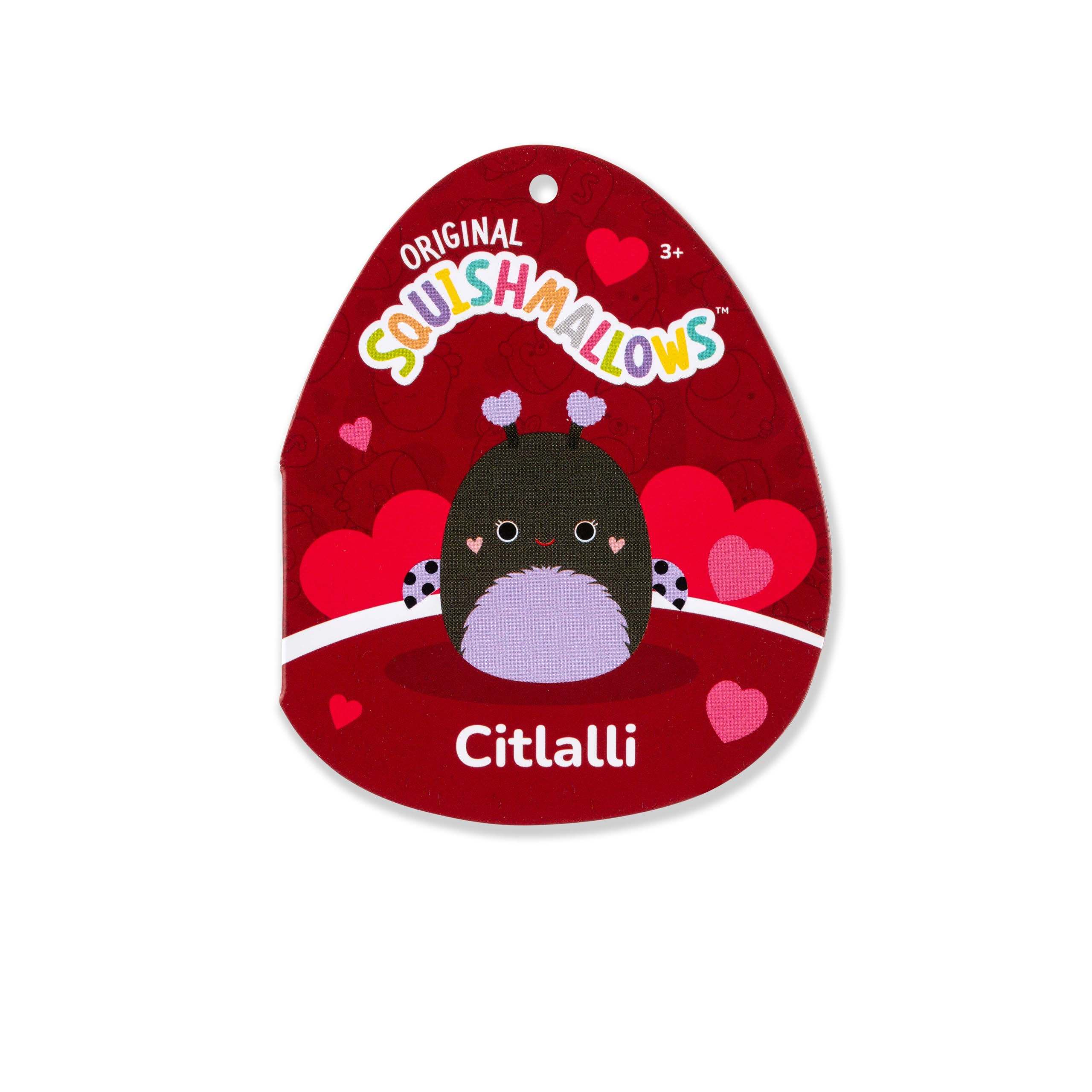 Squishmallows Original 8in Fitzy The  Holding Fuzzy Heart – Official Jazwares Valentine Plush (Little): Black Ladybug