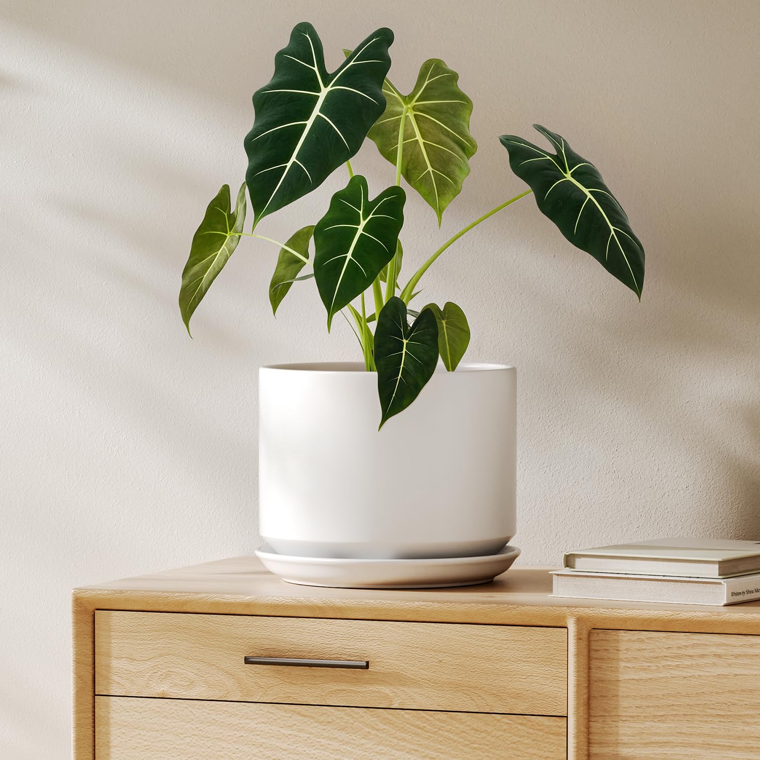 LE TAUCI 8 Inch Ceramic Pot