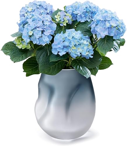 Joeyan Blue White Gradient Frosted Glass Vase - 3" Irregular Wavy Shape Small Flower Vase, Modern Coastal Home Decor for Table Centerpiece, Living Room, Bedroom, Bathroom, Wedding, Housewarming Gift
