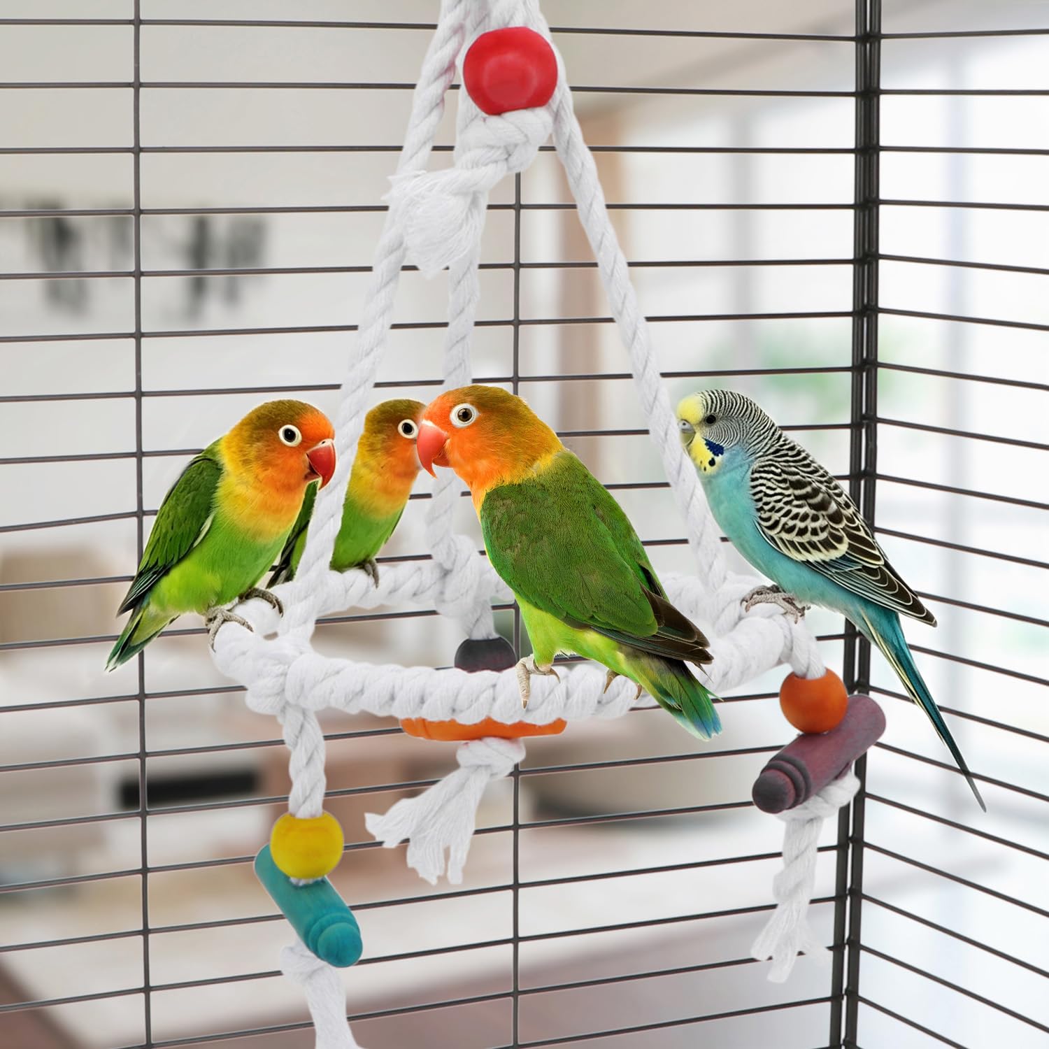Amazon | Hypeety ペット 鳥 オウム ブランコ ぶら下げおもちゃ インコ