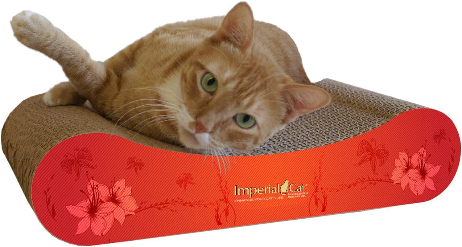 Vogue Scratch 'n Shape, Modern Red