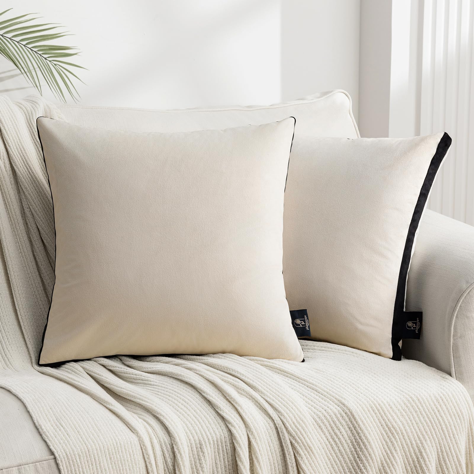 Phantoscope Pack of 2 Velvet Throw Pillow Covers, Decorative Soft ...
