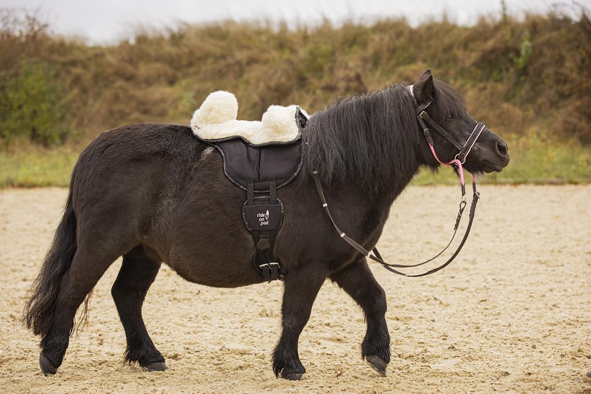 Barefoot Schafwoll Sitz für Ride-On-Pad Pony – rutschfest, bequem & pferdefreundlich – Ergonomischer Reitsitz mit hoher Rückenstütze und Pauschen – 100% Schafwolle – ohne Ride on Pad Pony