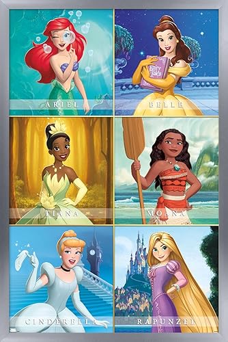 Trends International Disney Princess - Póster de pared de cuadrícula escénica, 14.72 x 22.37 pulgadas, versión enmarcada plateada