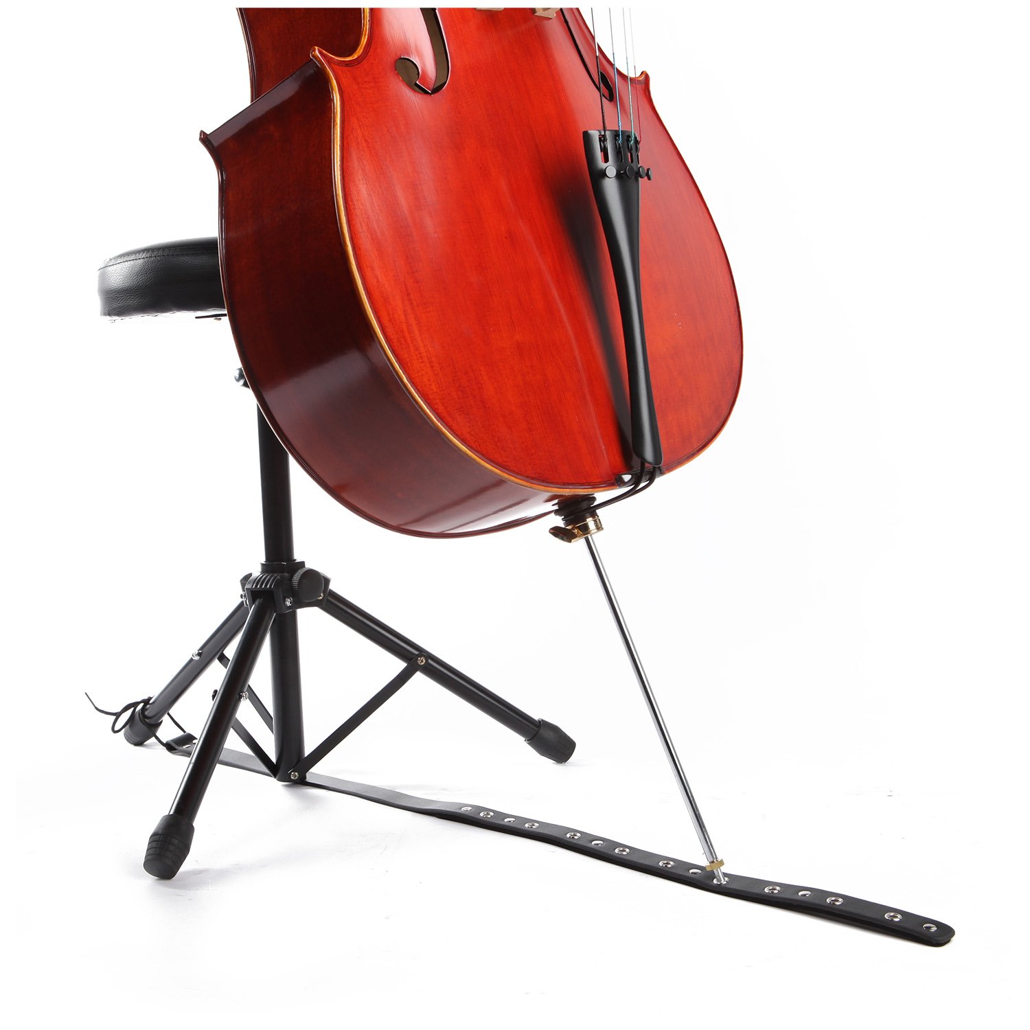 Pacato Cello Stachelanker, Instrumentenabdeckung, Zeder, Lackiert, Schwarz, 78 Gramm
