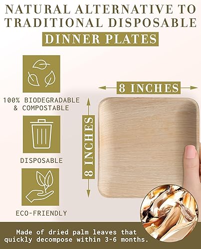 Miniatura 2 de brheez - Platos y cuencos de bambú desechables, diseño de hoja de palma, biodegradables