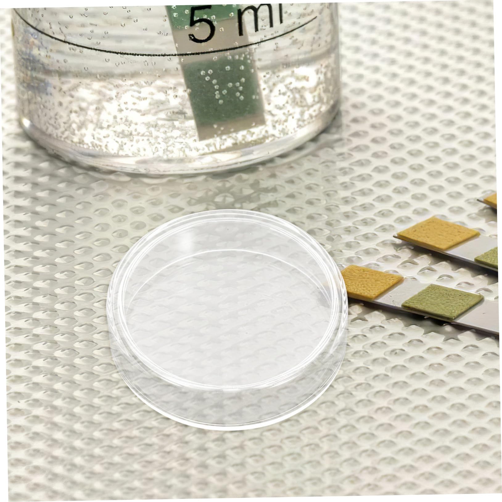 10piezas Placas De Petri De Vidrio Experimental Kit Para Proyectos Científicos Recipientes Para Microbiológico Accesorios De Laboratorio