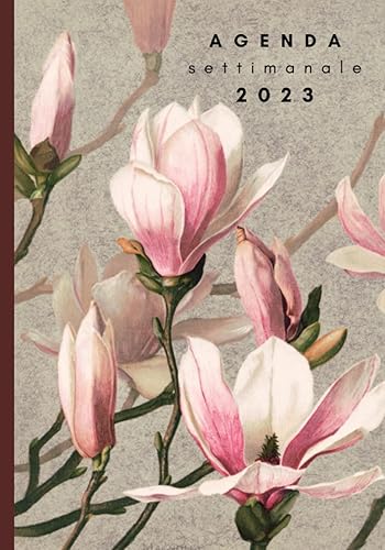 Agenda 2023 Settimanale: Planner Giornaliero Intervallo Orario 7:00 - 20:00 Vista Verticale a Colonne - 1 Settimana su 2 Pagine -12 Mesi - Calendario Anni 2023 e 2024 - Agenda Annuale per Appuntamenti