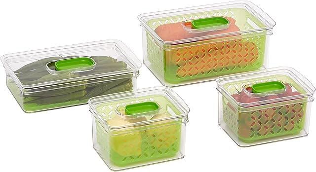 Amazon Basics Set of 4 Food-Saving Produce Containers, BPA-Free Plastic - 1 Large (41 L), 1 Medium Short (25 L), 2 Medium (18 L)
