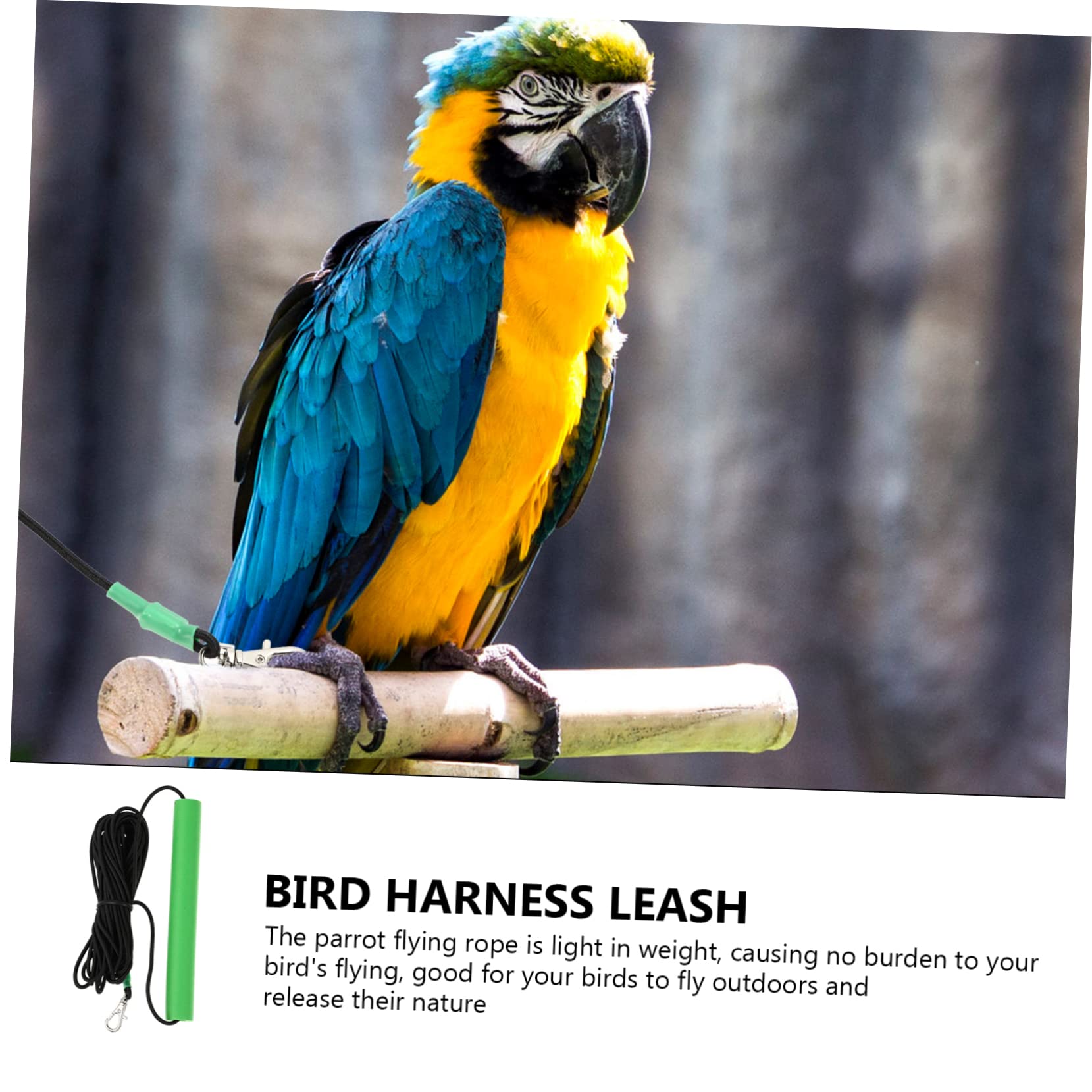 Kisangel 2 Piezas Cuerda De Pájaro Arnés De Pájaro Mascota Arnés y Correa para Cacatúa Cuerda De Entrenamiento De Loros Suministros De Correa De Loro De Acero Inoxidable Green