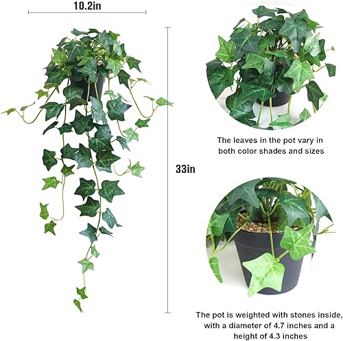 Miniatura 2 de alyptus Plantas falsas hiedra inglesa, 2 especímenes de hiedra falsa, con hojas de arce de seda realistas, hoja de arce verde artificial de bajo