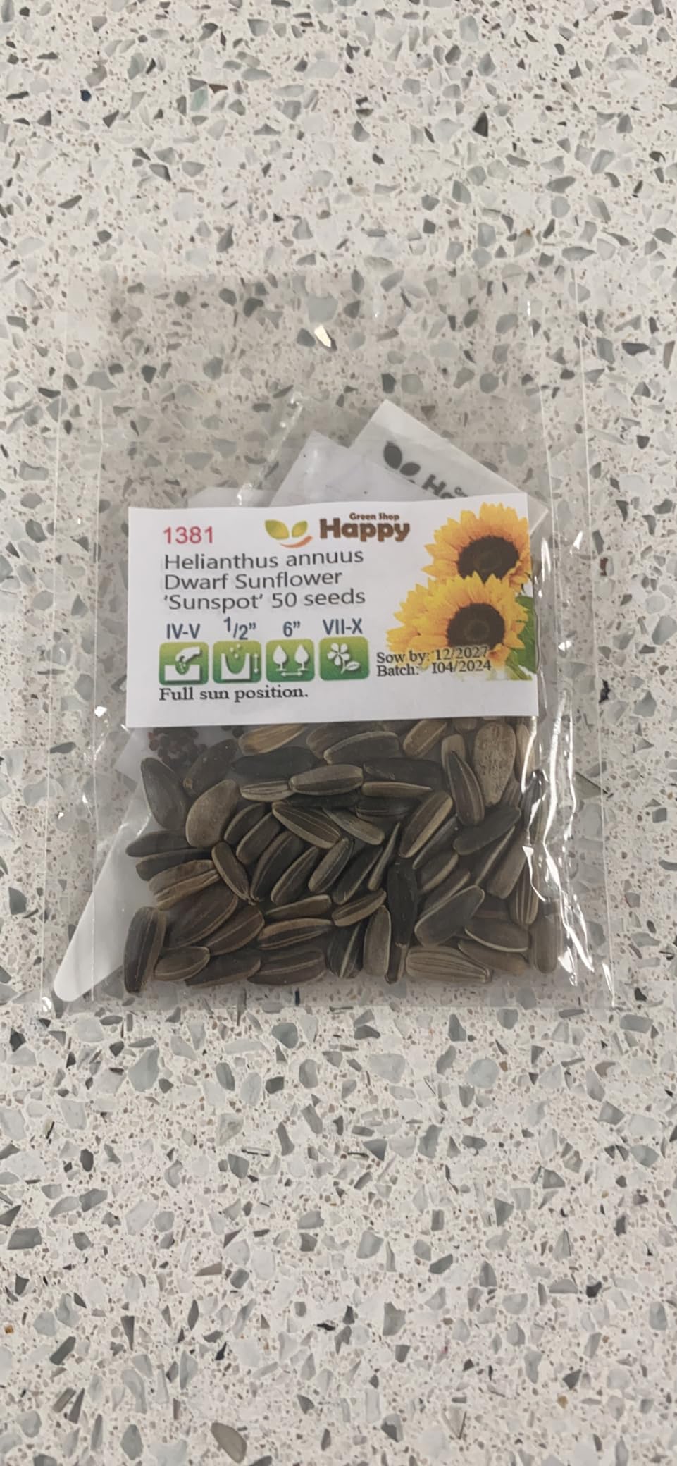 Captivating Miniature Sunflower Seeds Background Nature Captivating Miniature Sunflower Seeds Background Nature