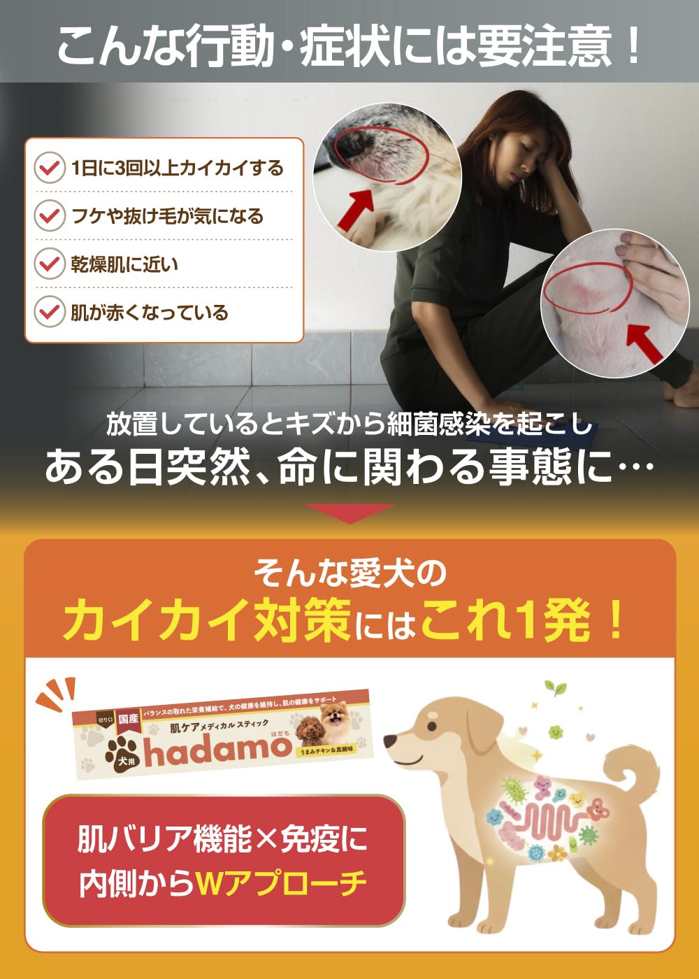 Amazon | 【獣医師監修】 犬 皮膚 かゆみ サプリ 【 乳酸菌H61配合 無