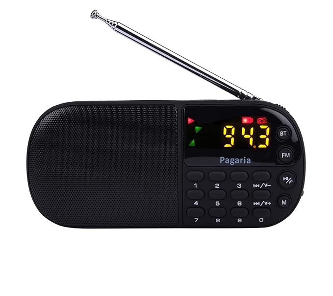 PAGARIA L837BT Portable Multimedia FM/Mp3 Player with Bluetooth,USB