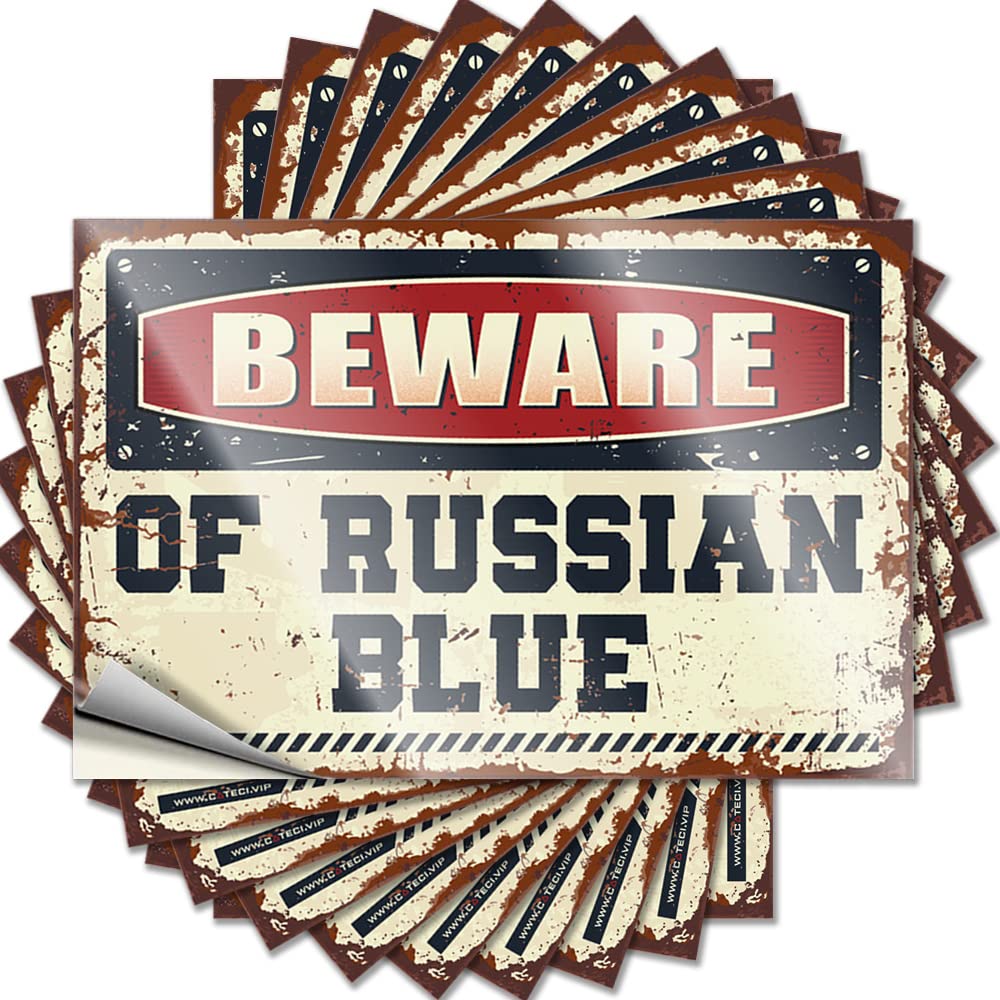 Saying Vintage Home Decor | Snarky Window Beware of Russian Blue for Boys(8X12CM)