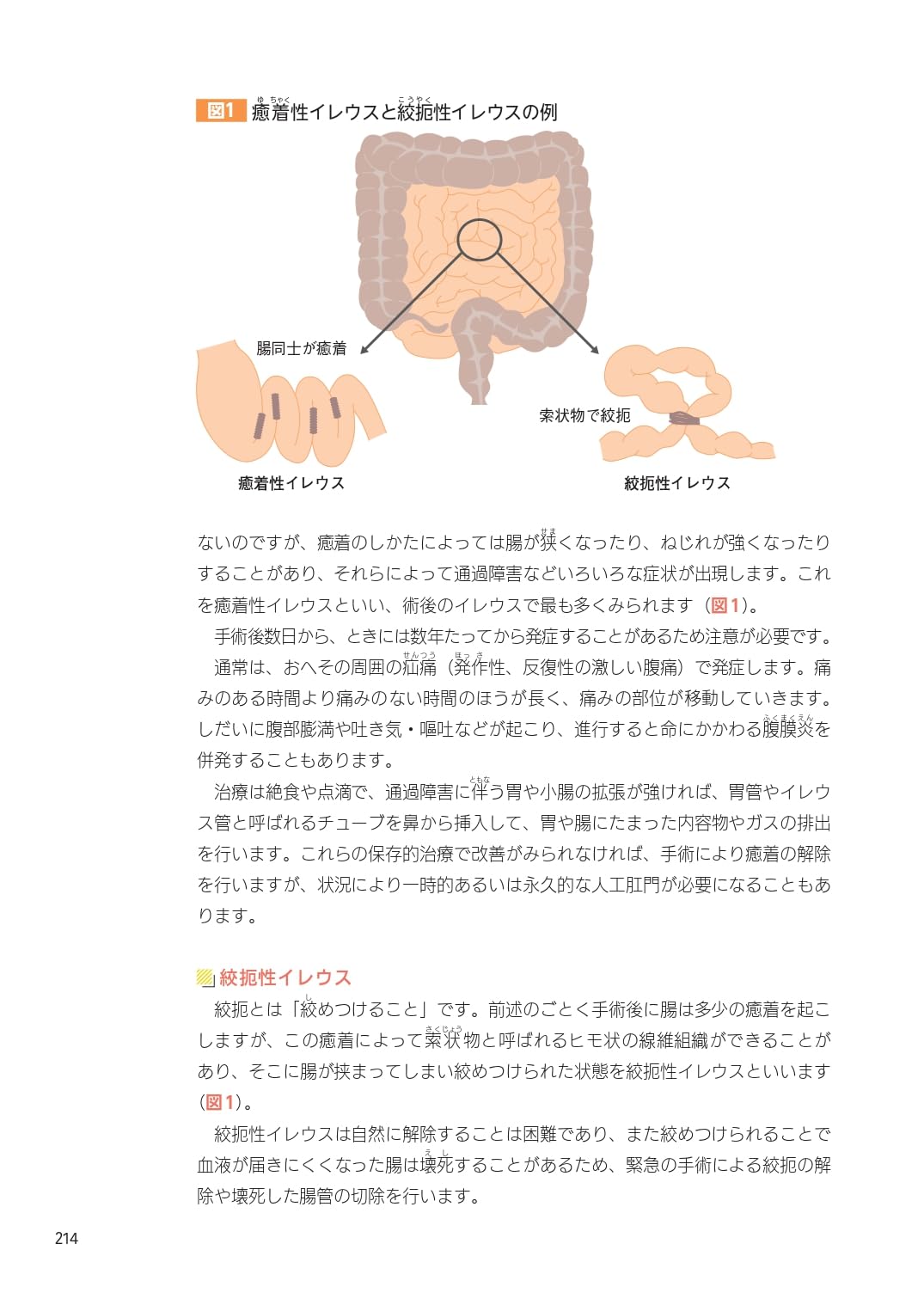 Amazon.co.jp: 日本婦人科腫瘍学会: 本、バイオグラフィー、最新