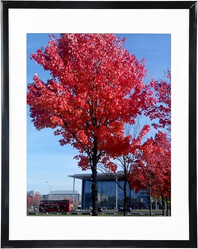 Vista 122 de Medog Marco de póster de 24 x 36 pulgadas, color negro, paquete de 2 marcos para fotos de 24 x 36 pulgadas, marco de galería de estudio, marco de 2P