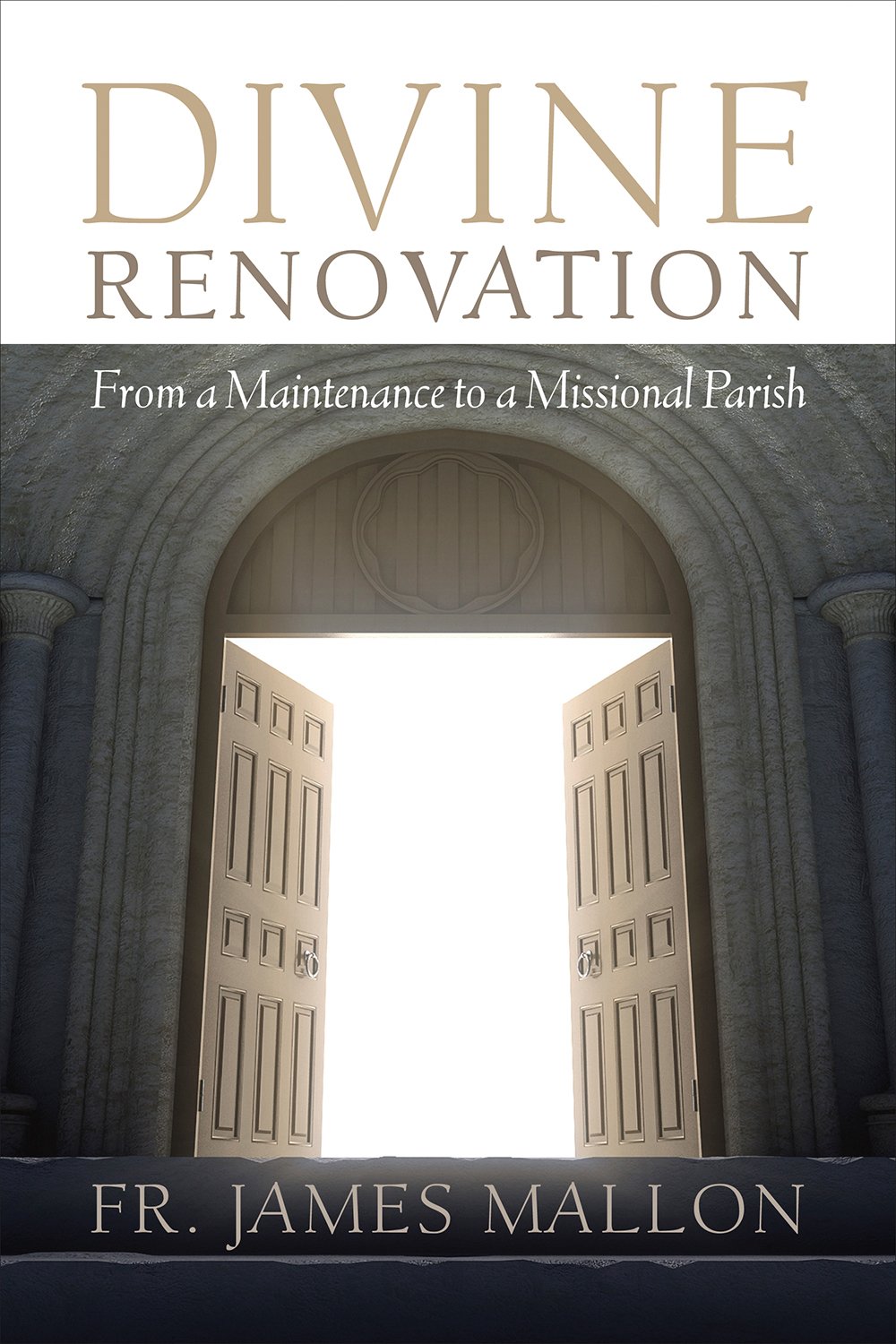 Buy Divine Renovation: From a Maintenance to a Missional Path — BookShops.in