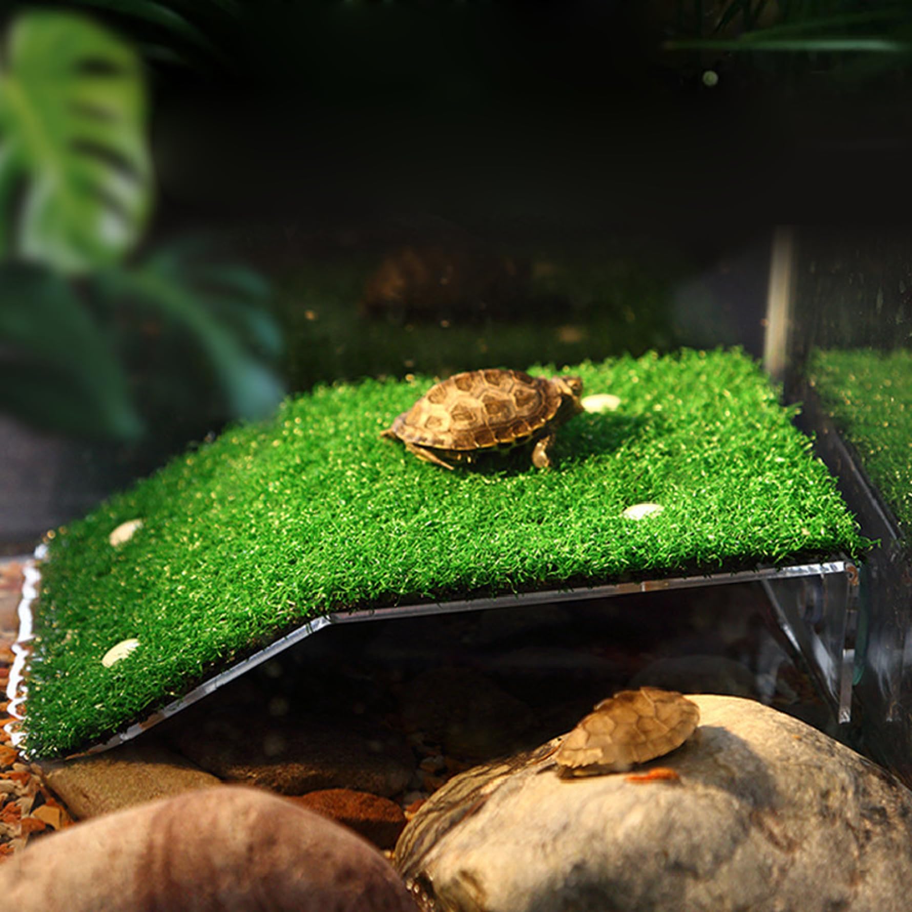 Turtle Habitat Plataforma Para Tomar El Sol Para Tortugas Con Ventosa Oso De Hasta 2 Kg Escalera Para Subir Tortugas De Resina Terraza De Descanso Accesorios Para Tanque De Tortugas Para Rana Reptil