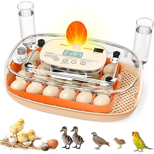 Egg Incubator for 24 Chicken Eggs with Automatic Turner, Digital Temperature Control & Humidity Display, Candler, Poultry Hatcher for Chicken, Duck, Quail, Birds (Orange)