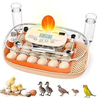 Egg Incubator for 24 Chicken Eggs with Automatic Turner, Digital Temperature Control & Humidity Display, Candler, Poultry Hatcher for Chicken, Duck, Quail, Birds (Orange)