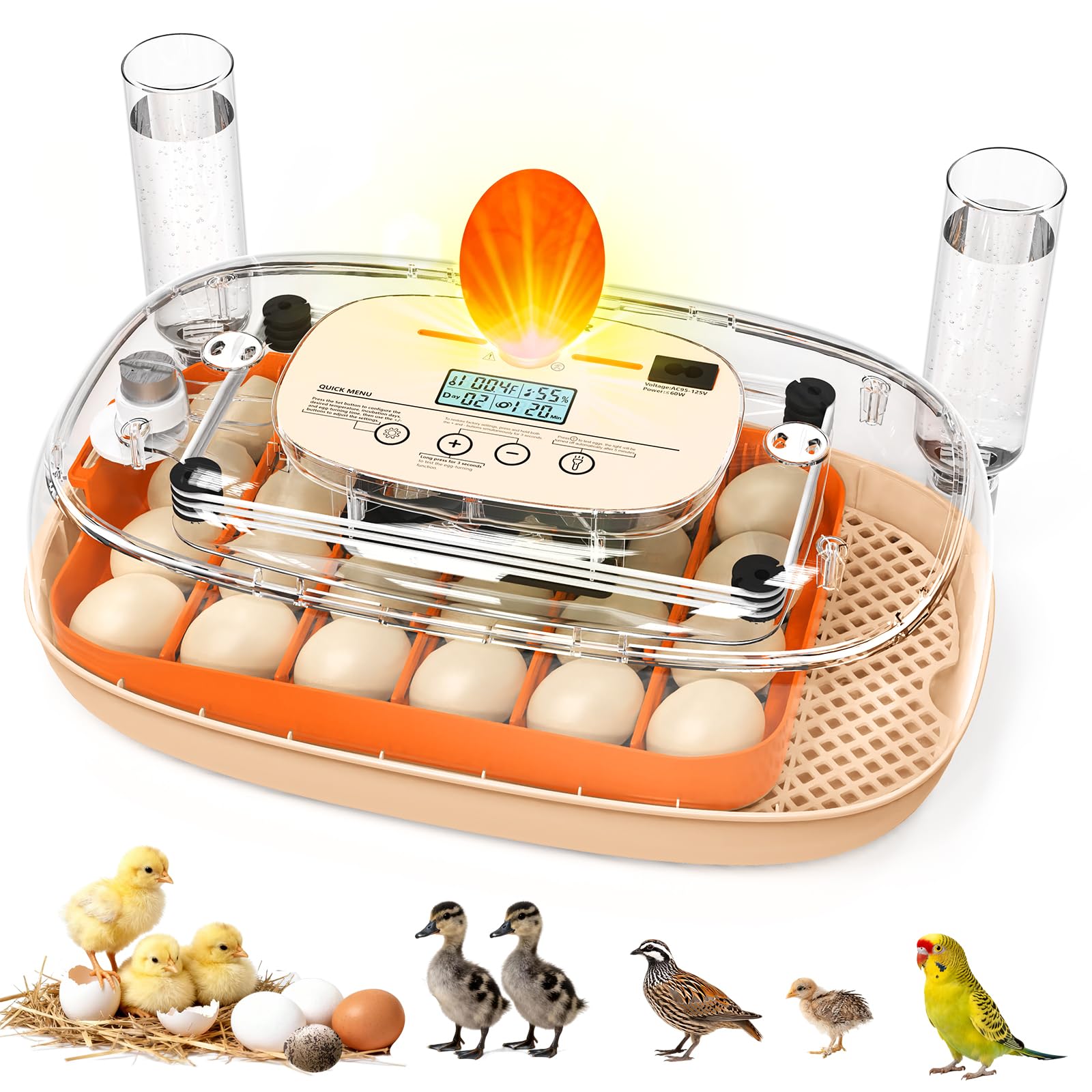 Incubateur d'œufs automatique pour 24 poules et canards avec contrôle de température