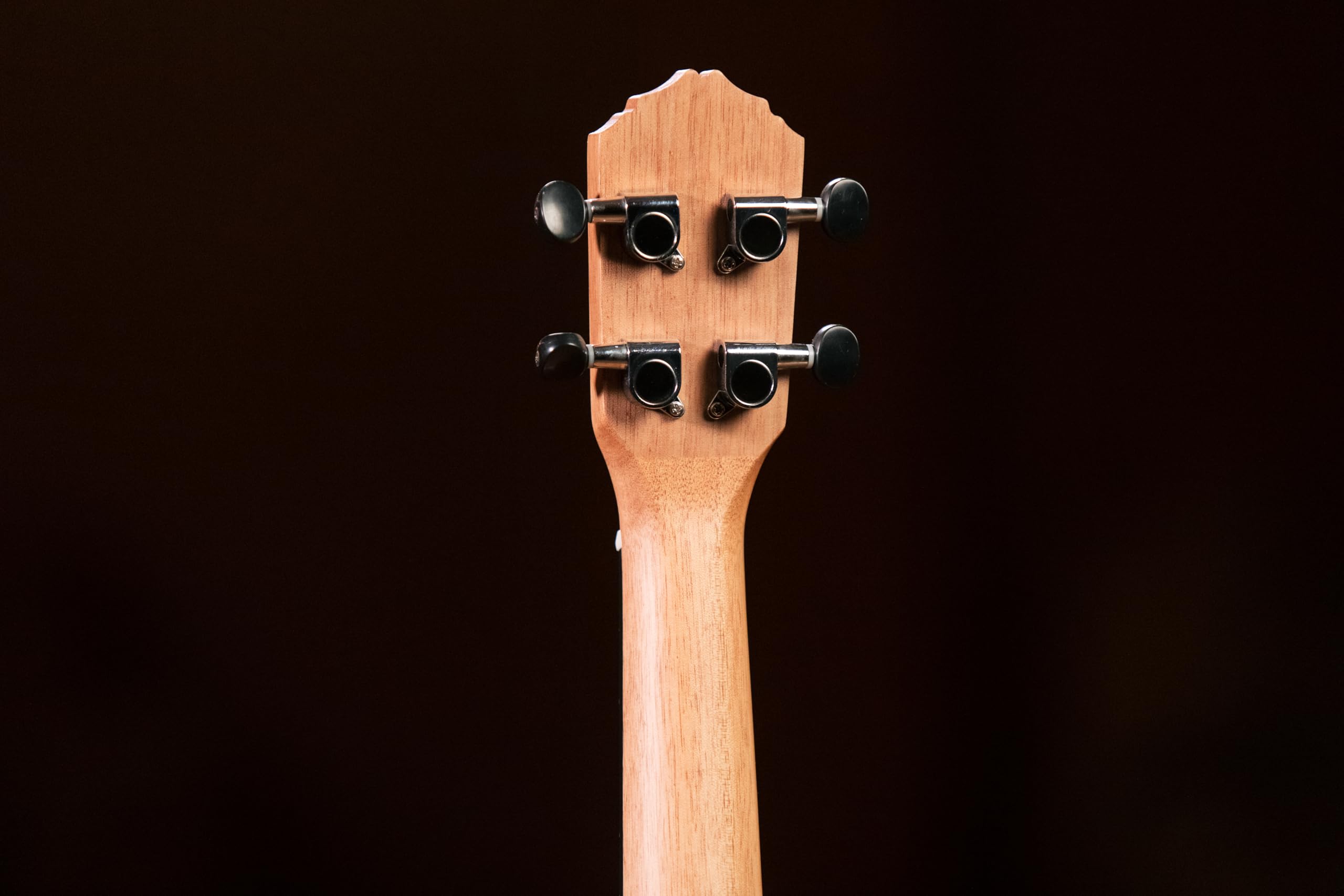 Ortega Guitars Konzert Ukulele Elektro-Akustisch – Timber Series – Inklusive Gigbag – Zebrano, Natur (RFU11ZE)