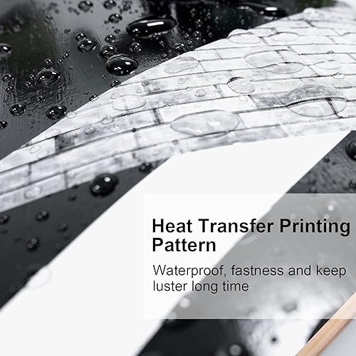 Miniatura 19 de WhiteFang Patinetas para principiantes, patineta completa de 31 x 7.88, 7 capas de arce canadiense de doble patada cóncava estándar y trucos