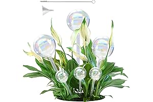Glass Plant Watering Globes: Iridescent Oasis for Indoor and Outdoor Verdure