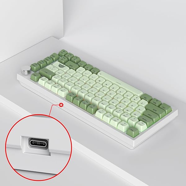 SOLIDEE Verkabelte Mechanische Gaming Tastatur 75%,hot-swap-fähige mechanische Tastatur Gasket,RGB Hintergrundbeleuchtung,QWERTY 82 Tasten TKL Gaming Tastatur,NKRO Tastatur mit Drehknopf(82 Matcha) - 3