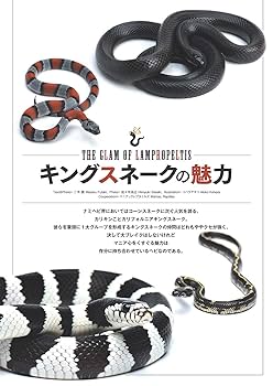 REP FAN レプファン Vol.5 (サクラムック) : Amazon.com.au: Books