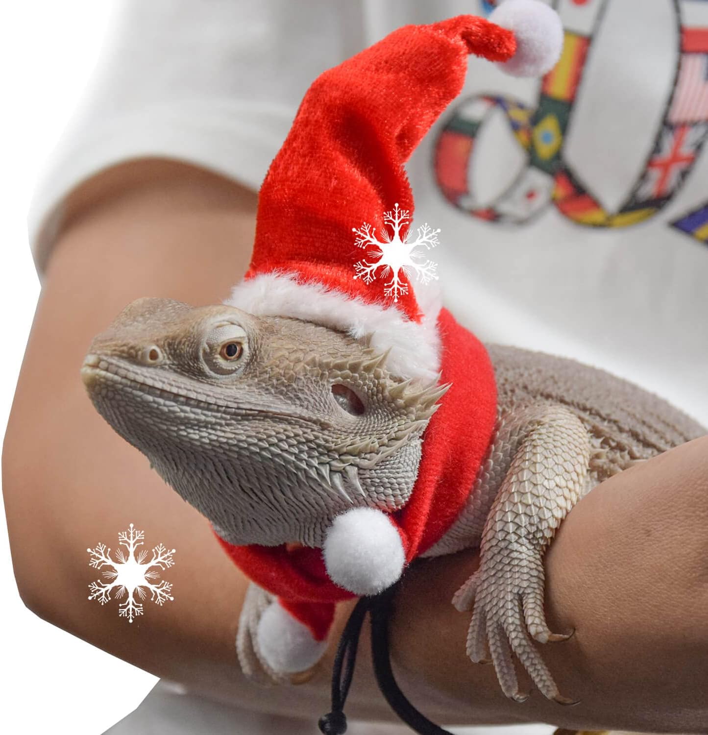 Bearded Dragon Clothes Christmas Costume Reptile Santa Hat Scarf Ferret Xmas Hat Pet Costume Clothes Outfit Small Animal Costume Clothing Mini Reptile Straw Hat with Antlers Adjustable Strap (Red)