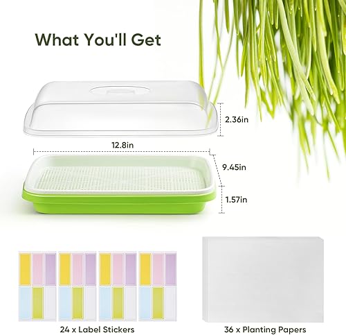 Miniatura 7 de FELISTORY Paquete de 6 bandejas de germinación de semillas verdes con tapa, bandeja de germinación de cultivo sin tierra, bandeja de vivero con