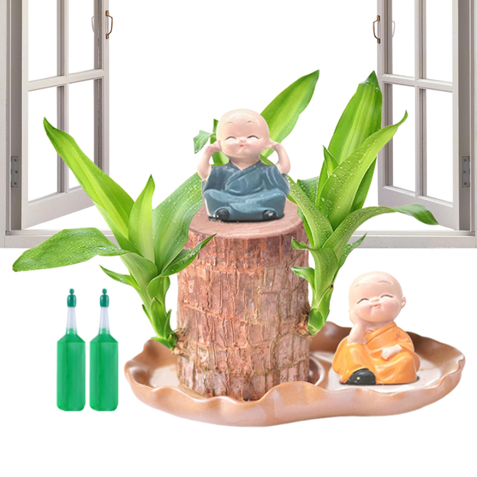 Bois brésilien decoration interieur et plante de bureau en pot de bois