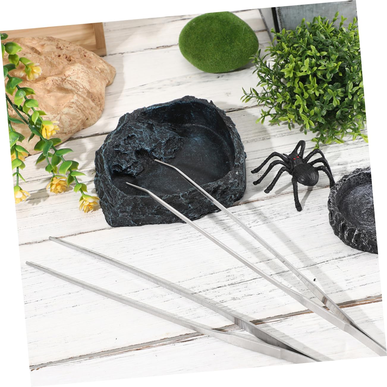 1set Ciotola Grandper Rettili con Pinzette Curvate Accessorio Versatilper Tartarughe e Draghi Barbati Ciotola per Cibo per Terrari Facile da Pulire e Resistente