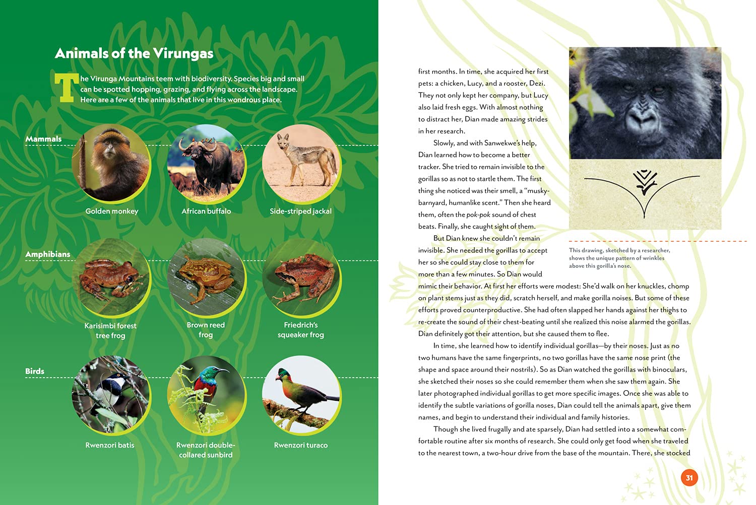Unforgotten: The Wild Life of Dian Fossey and Her Relentless Quest to Save Mountain Gorillas