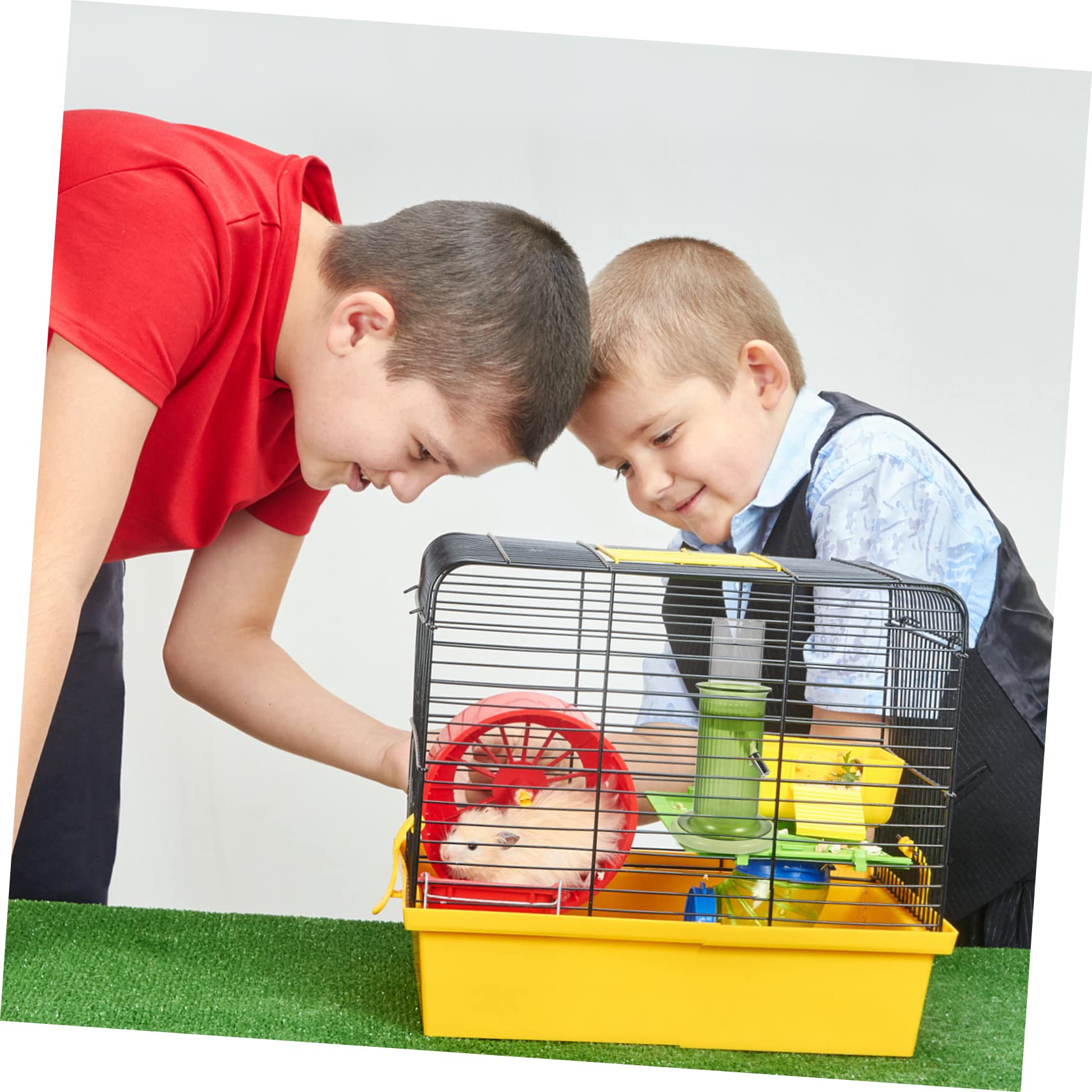 Toyvian Biberon Polypropylène Verre et Anti-Fuite en Utiliser Facile Vert pour Hamster Petits Animaux en Cage Quotidien