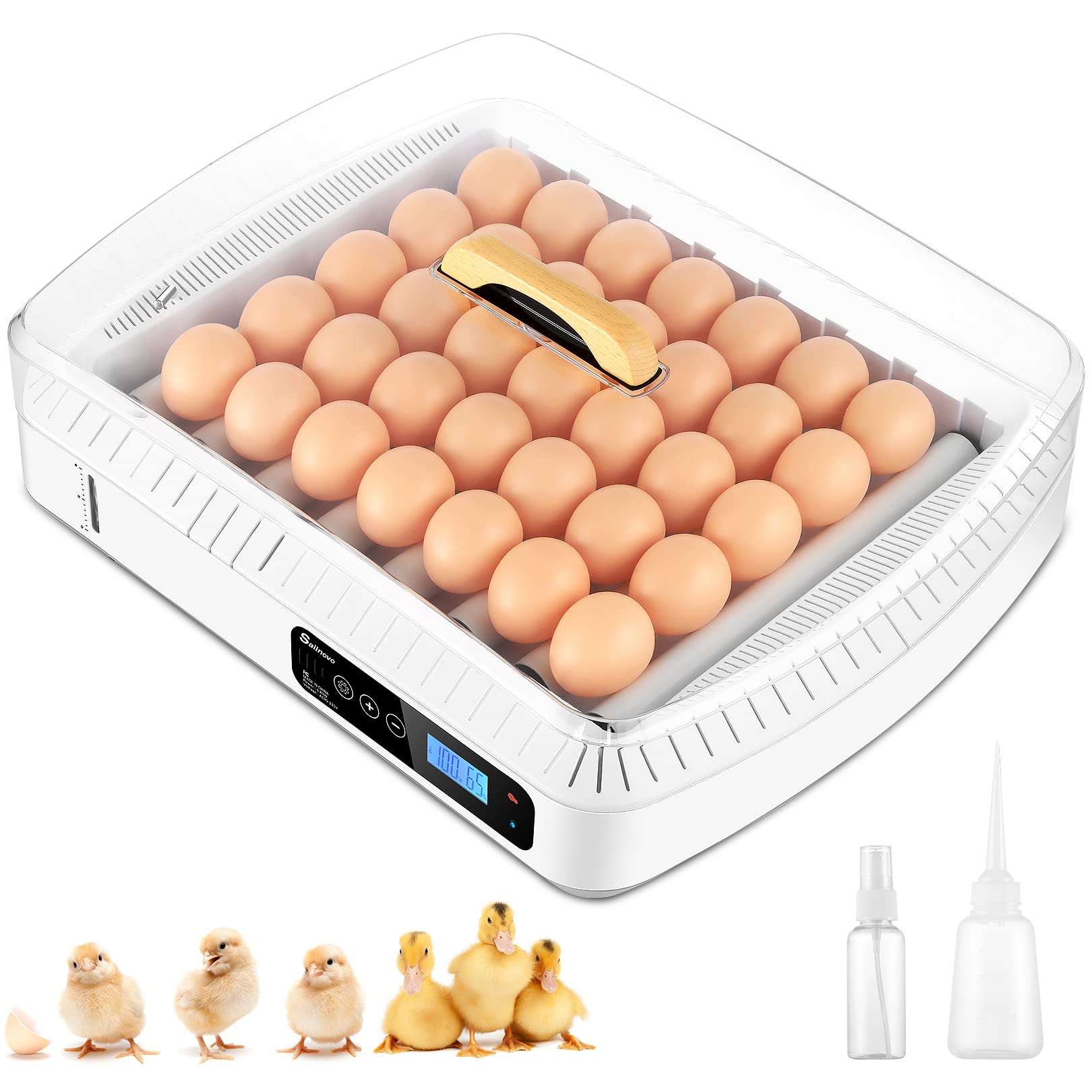 Buy 3565 Egg Incubator with Automatic Egg Turner, Temperature Control