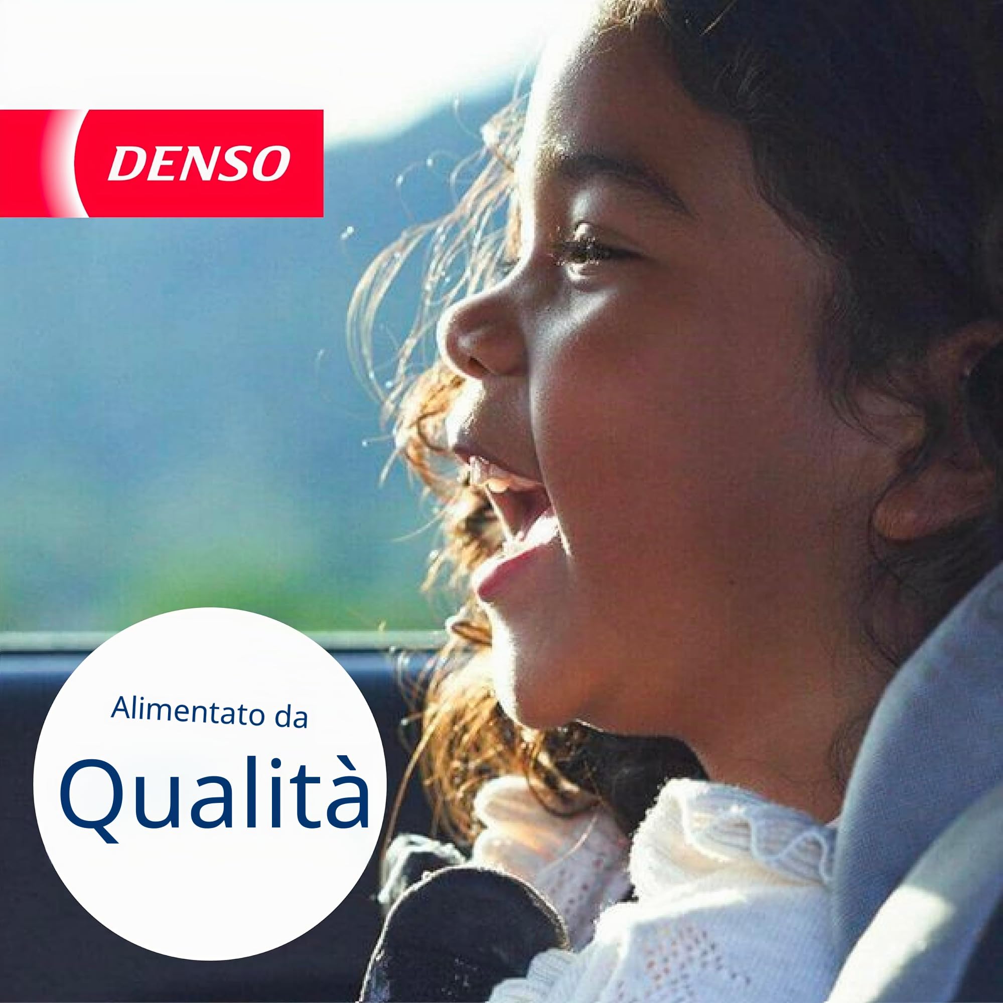DENSO Spazzola tergi DF-081