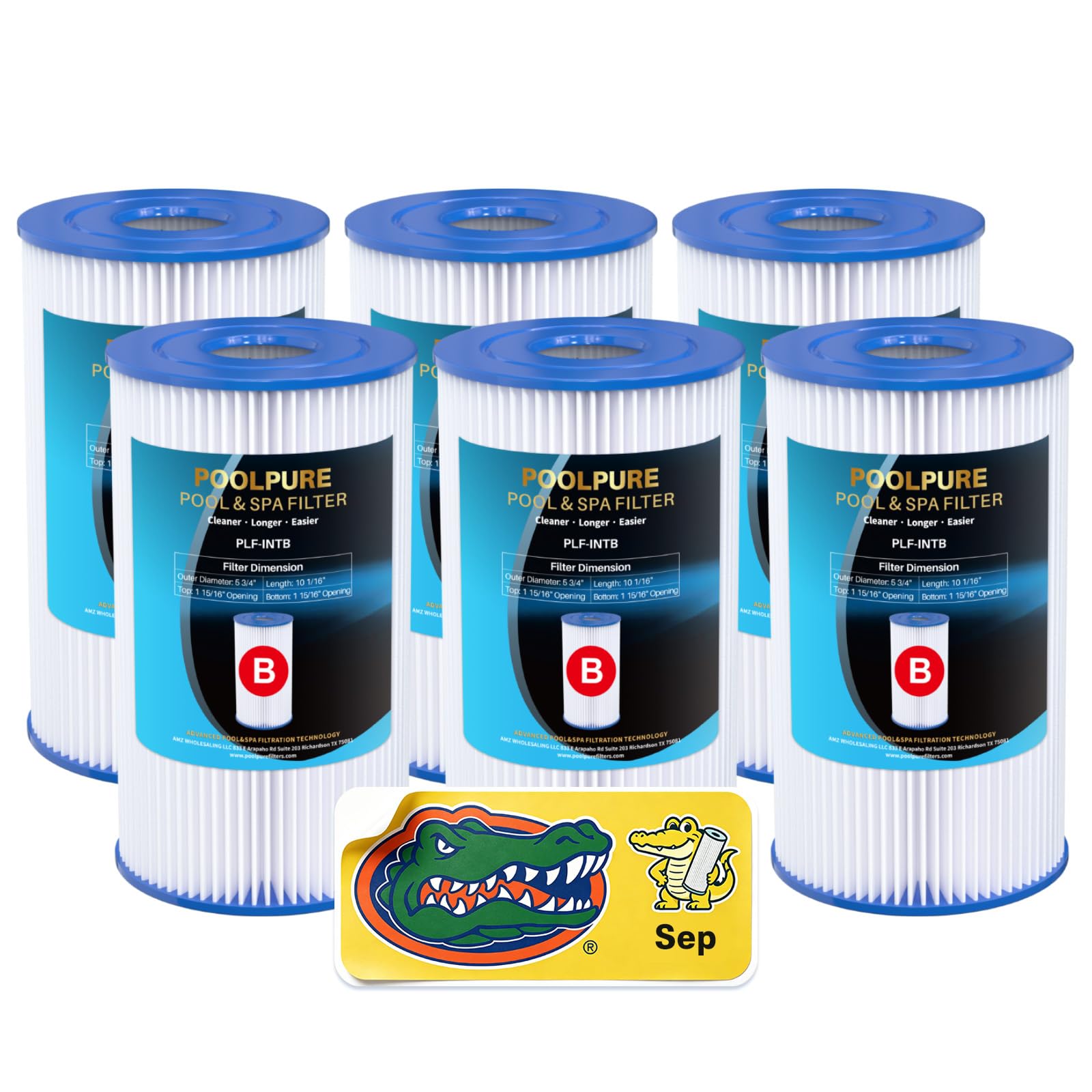 POOLPURE Lot de 6 filtres de piscine de rechange de type B, compatibles avec Intex 29005E Easy Set