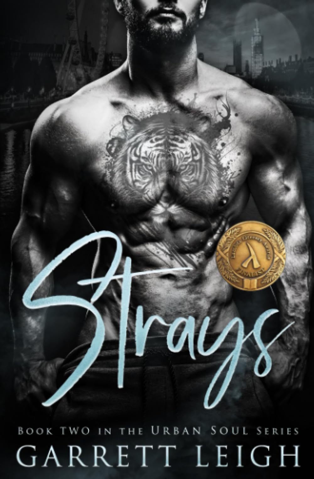 Strays: Angsty Gay Romance: 2 (Urban Soul)