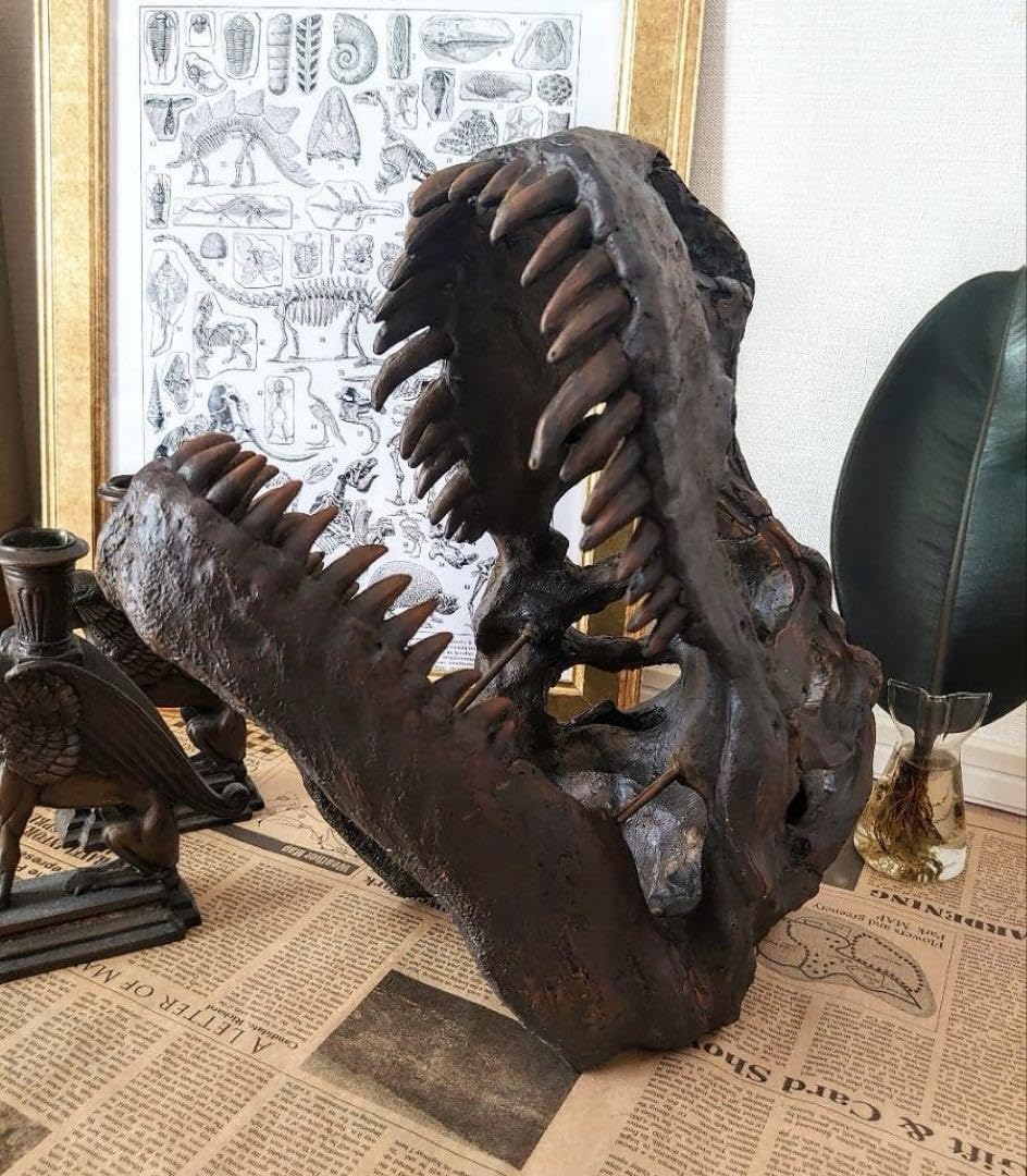 ティラノサウルス インテリアオブジェ 雑貨 置物 恐竜の化石 トリケラトスプス Amazon.co.jp: ティラノサウルス インテリアオブジェ 雑貨 置物