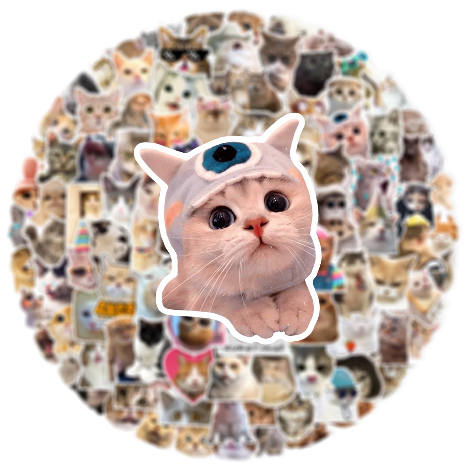 100 Pcs Cat Meme Stickers for Guitar,Bicycle,Laptop,Water Bottles,Skateboard,Computer,Kitten Meme Cute Style Stickers Waterproof Vinyl,Graffiti Decorate for Girls Boys Teens - Image 3