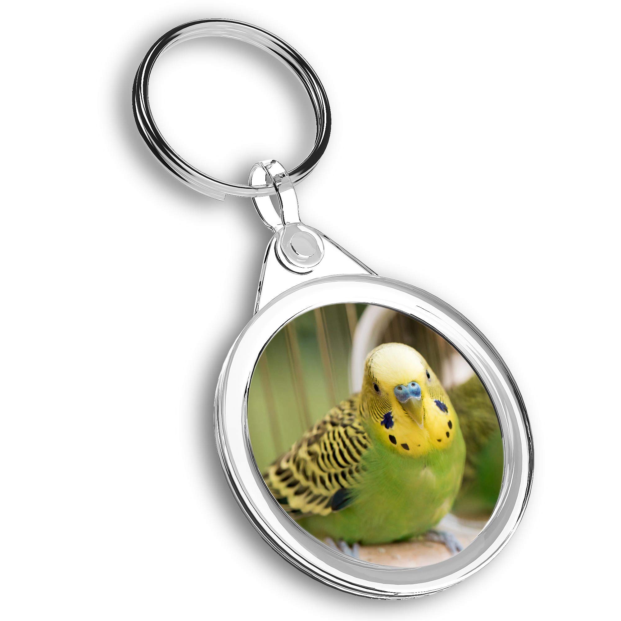 Destination Vinyl Ltd Unisex Multi 1 X Photo Keyring - Green Budgie Budgerigar Parrot |Keychain|Keyring|Charm| #45220