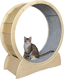 cat wheels amazon