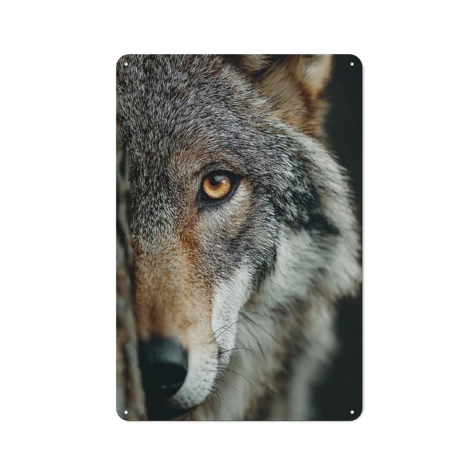 Junmoney Style-21 Modern Retro Metal Wall Art Sign 30X20cm Featuring Wolf Portrait Close-Up, Urban Room Decor For Flat, Bar, Studio Or Gallery Wall