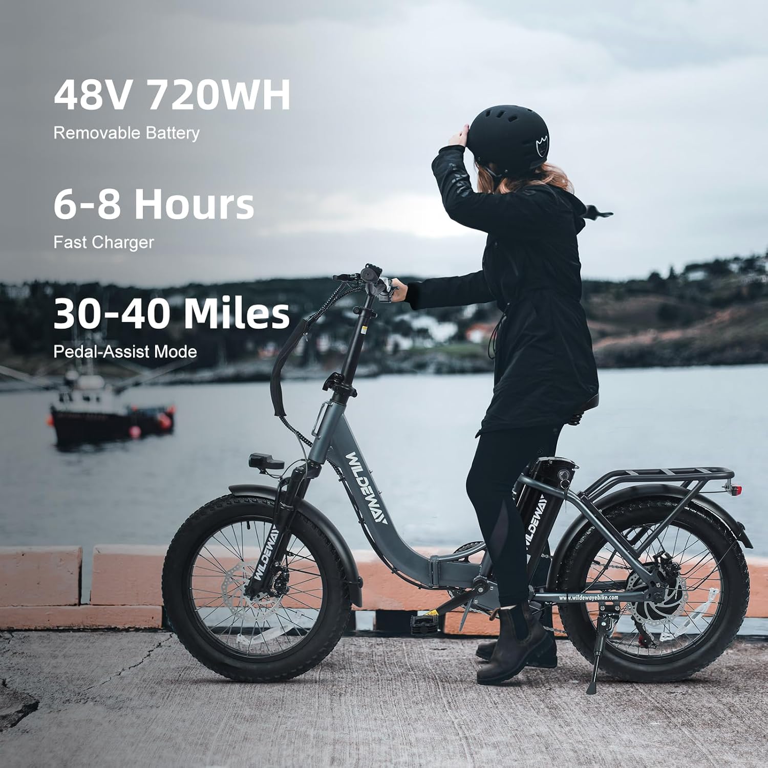 Wildeway electric bike with removable battery